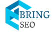 bring seo logo